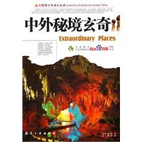 北京香山一带下雪游戏画面