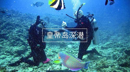 活期存款的利息如何计算呢?-最全面、最专业的知识问答网页